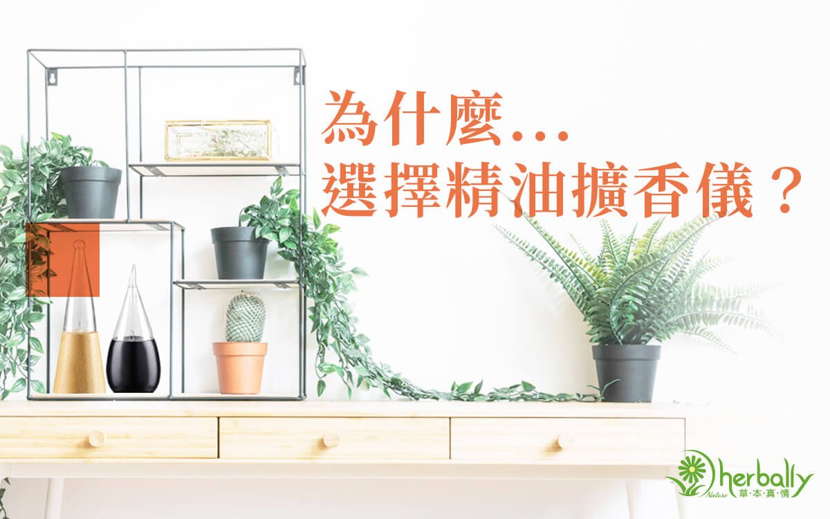 為什麼選擇擴香儀