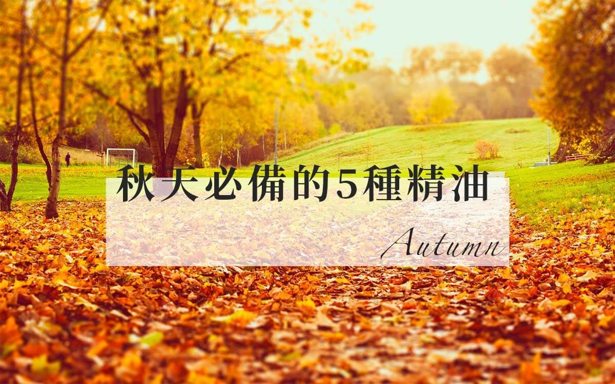 秋天必備的5種精油