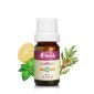 舒活特調-複方-10ml