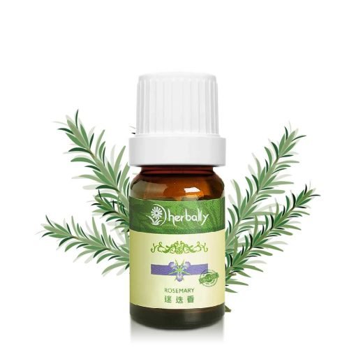 有機迷迭香 Rosemery 10ml 有機迷迭香 Rosemery 10ml