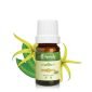 有機依蘭 Ylang Ylang 10ml