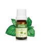有機薄荷 Peppermint 10ml