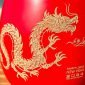 龍護福瑞-05