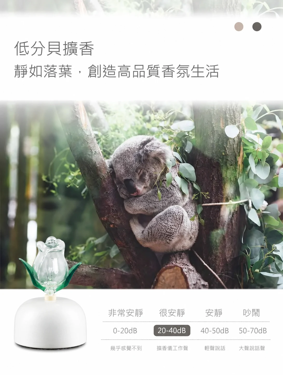 鬱金香透明精油擴香儀-低分貝擴香介紹